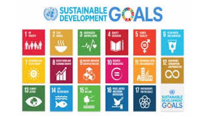 The Crucial Role of Cleaners in Achieving the Sustainable Development Goals