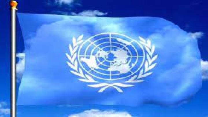 জাতিসংঘের পতাকা