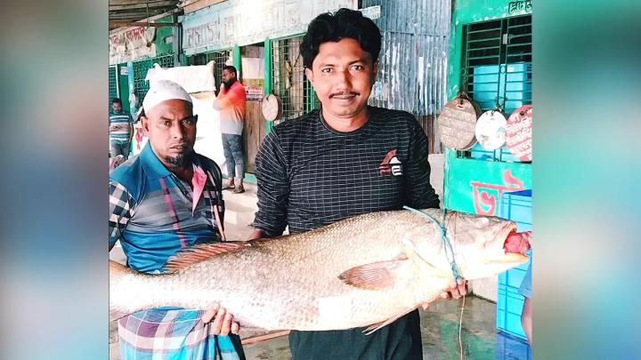 জেলের হাতে বিশাল ‘কালো পোয়া’ মাছ। ছবি: সংগৃহীত