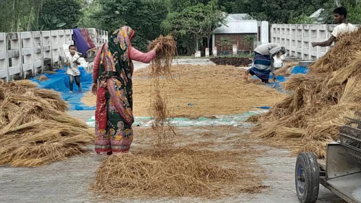 সেতুর ওপর চলে না যানবাহন। ছবি: সংগৃহীত