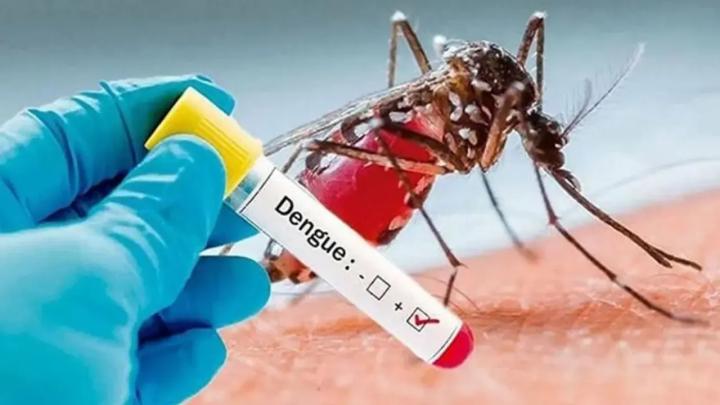 প্রতীকী ছবি