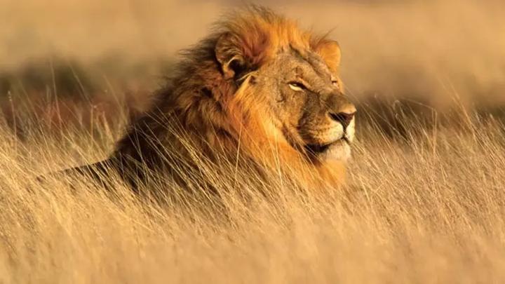 প্রতীকী ছবি