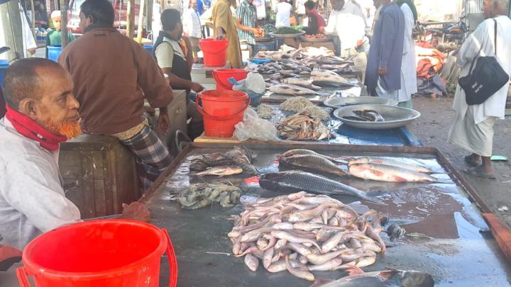 সামুদ্রিক মাছে সয়লাব বাজার। ছবি: সংগৃহীত