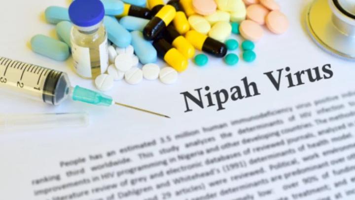 বাংলাদেশে নিপাহ ভাইরাসে ১ নারীর মৃত্যু: বিশ্ব স্বাস্থ্য সংস্থা