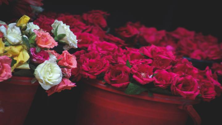 ছবি: নিজস্ব প্রতিবেদক