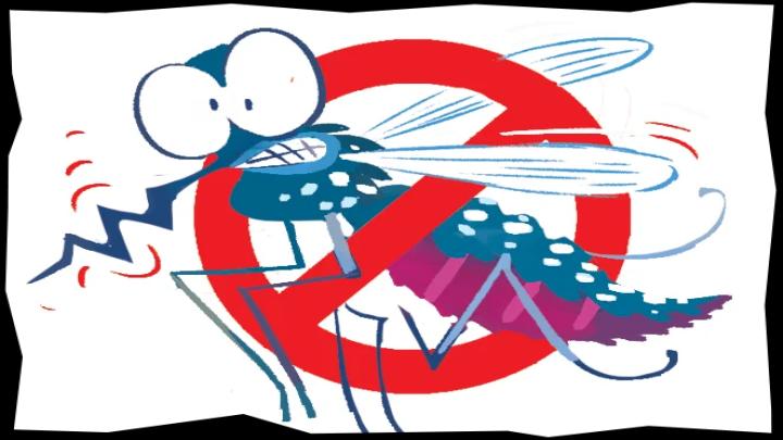 হাজার কোটি টাকা ব্যয়েও ঢাকায় কমেনি কিউলেক্স মশার দাপট