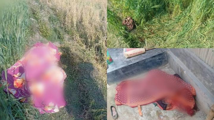 ছবি : সংগৃহীত