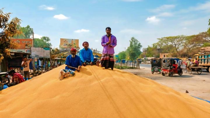 নন্দীগ্রামে মহাসড়কের দুই পাশে অবৈধ স্থাপনায় সংকুচিত সরিষার হাট: ফলন ও দামে খুশি কৃষক