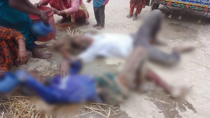 ছবি : নিজস্ব প্রতিবেদক