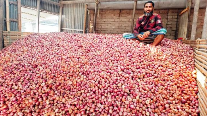 অতিরিক্ত সরবরাহে ‘উৎপাদন ব্যয়ের চেয়েও কম দামে’ বিক্রি, ব্যাপক লোকসানে পেঁয়াজ চাষিরা