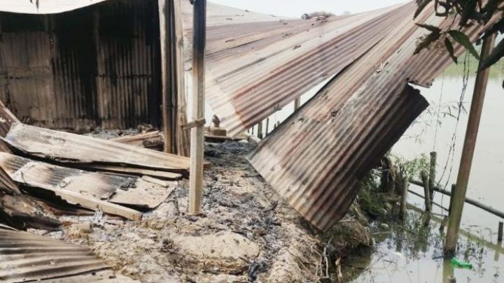 বগুড়ার দুপচাঁচিয়ায় পুকুরে বিষ দিয়ে মাছ নিধন, খাদ্যঘরে অগ্নিসংযোগ