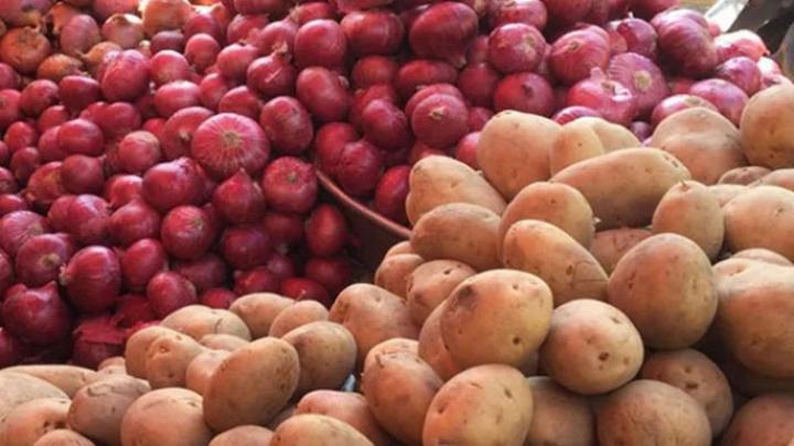 বাম্পার ফলনেও নেই লাভ, ঋণের বোঝায় জর্জরিত আলু-পেঁয়াজ চাষিরা