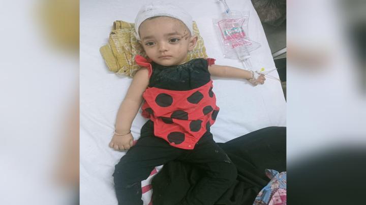 বগুড়ায় সড়ক দুর্ঘটনায় বেঁচে যাওয়া শিশুর চিকিৎসার দায়িত্ব নিলেন প্রধানমন্ত্রী