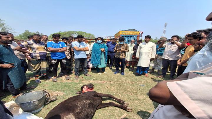 ছবি : নিজস্ব প্রতিনিধি