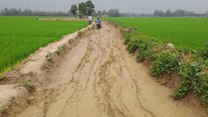 ছবি : সংগৃহীত