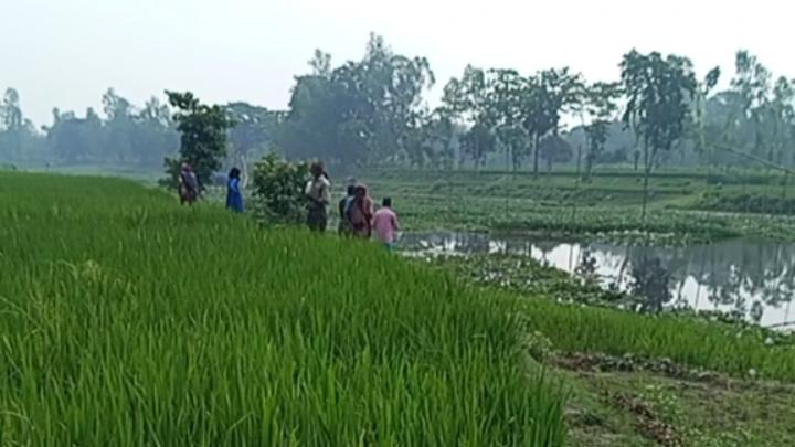 ছবি : নিজস্ব প্রতিনিধি