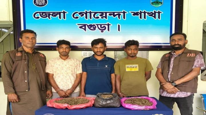 ছবি : সংগৃহীত