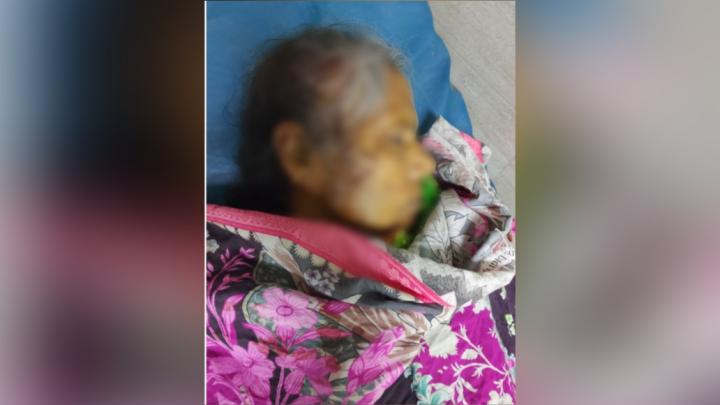 ছবি : নিজস্ব প্রতিনিধি