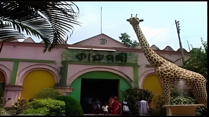 ছবি : সংগৃহীত