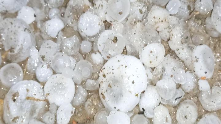 ছবি : নিজস্ব প্রতিনিধি