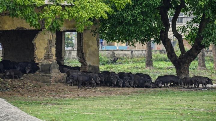 ছবি : সংগৃহীত