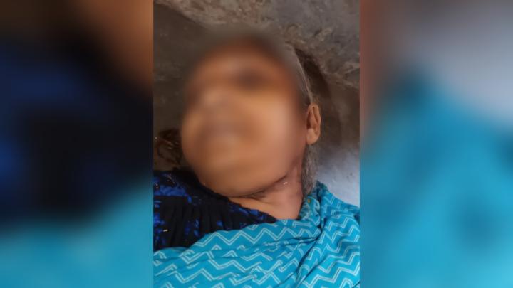 ছবি : নিজস্ব প্রতিনিধি