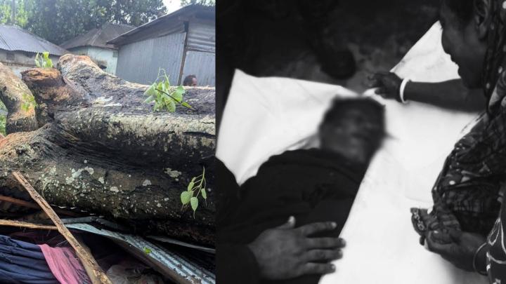 ছবি: কোলাজ