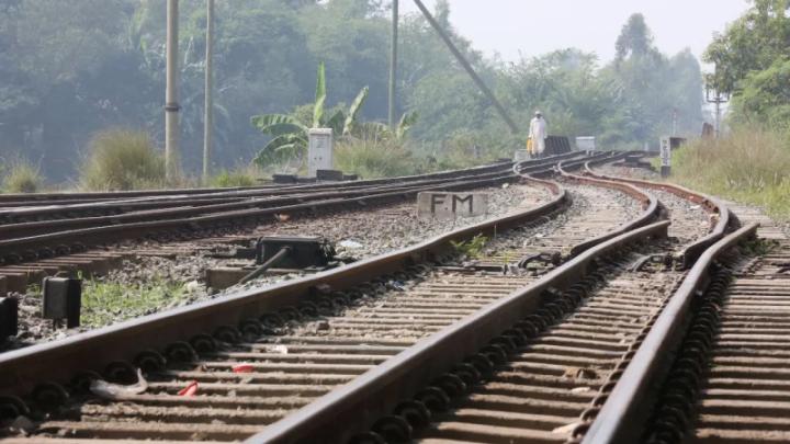 ছবি : সংগৃহীত