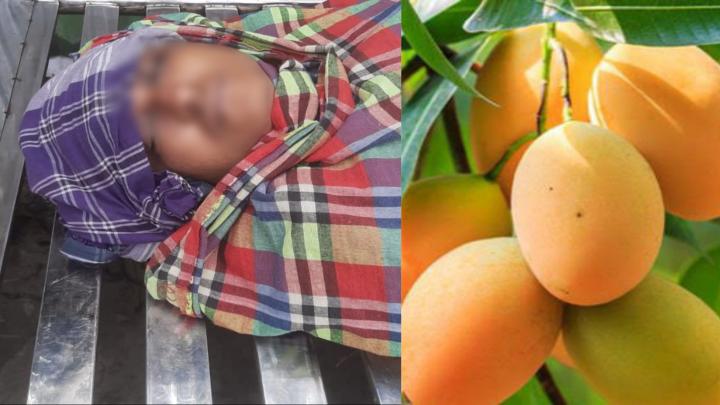 ছবি : নিজস্ব প্রতিনিধি