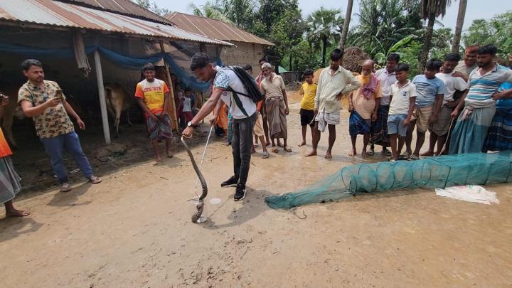 সারাদেশ, সাপ , আতঙ্ক , শেরপুর , বগুড়া